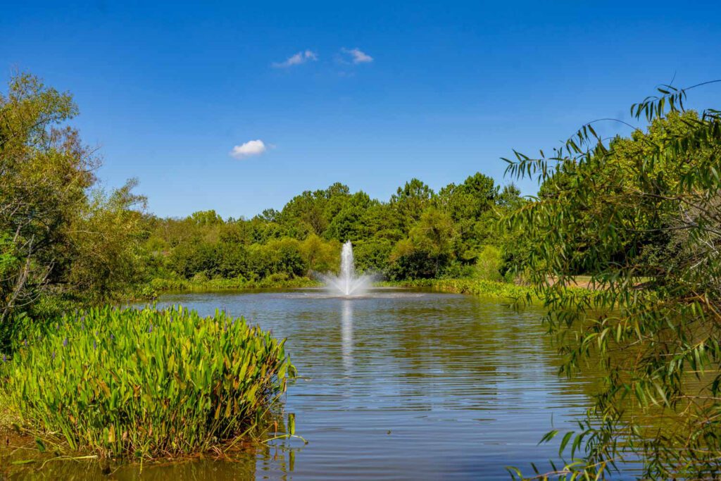 Fountain spraying in the pond surrounded by leafy trees and aquatic plants at Garrard Landing Park.